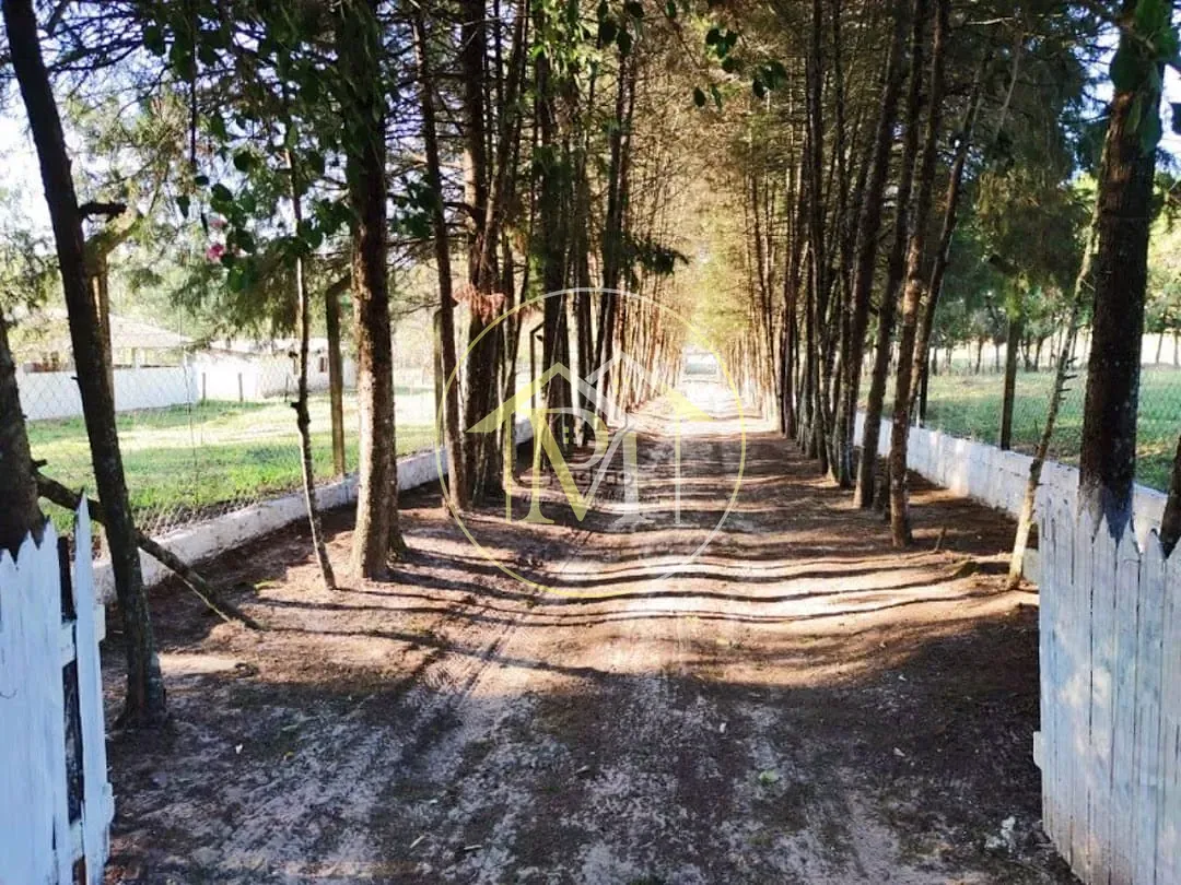 Fazenda, 10 hectares - Foto 16