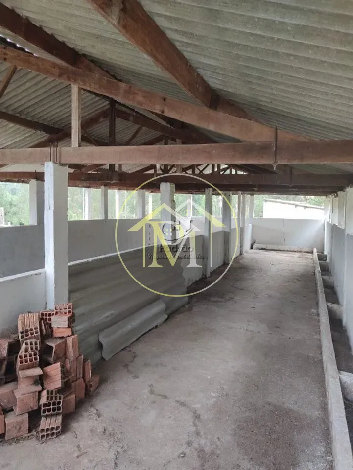 Fazenda, 10 hectares - Foto 29