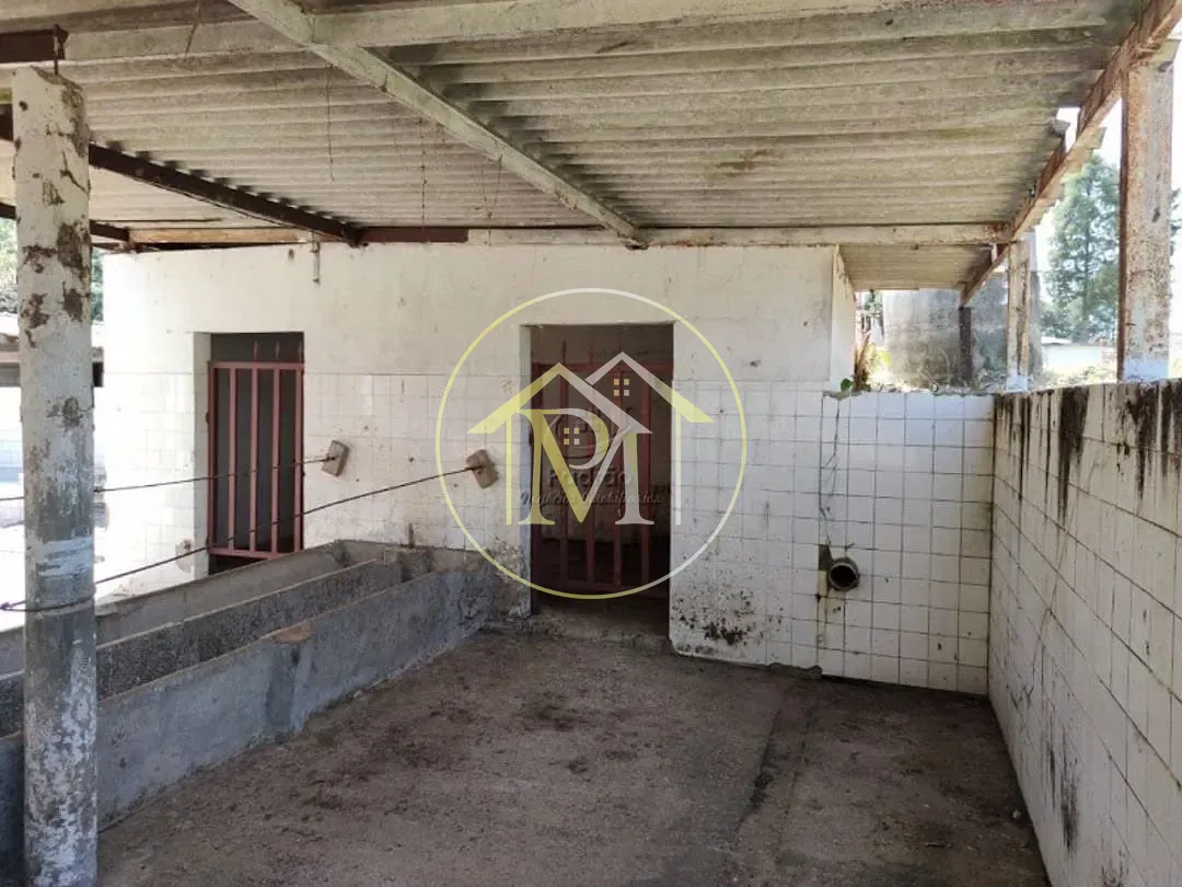 Fazenda, 10 hectares - Foto 39