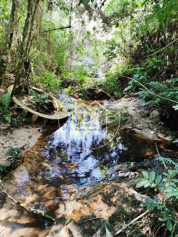 Fazenda, 10 hectares - Foto 49
