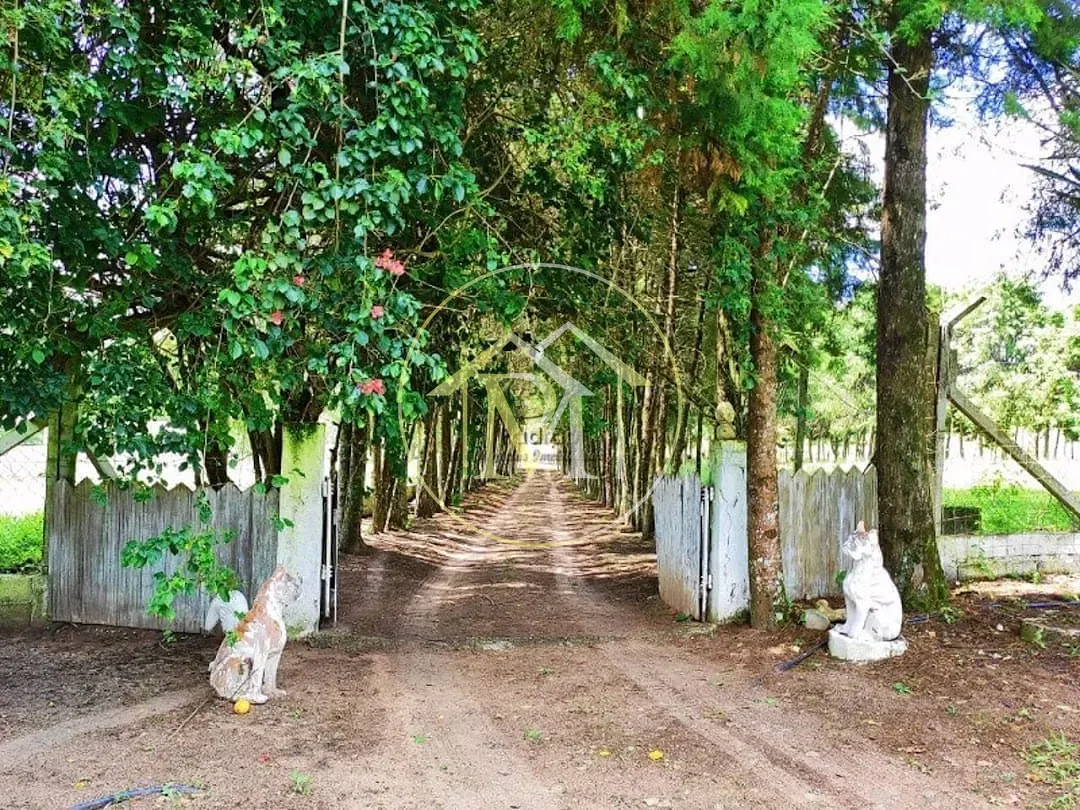 Fazenda, 10 hectares - Foto 17