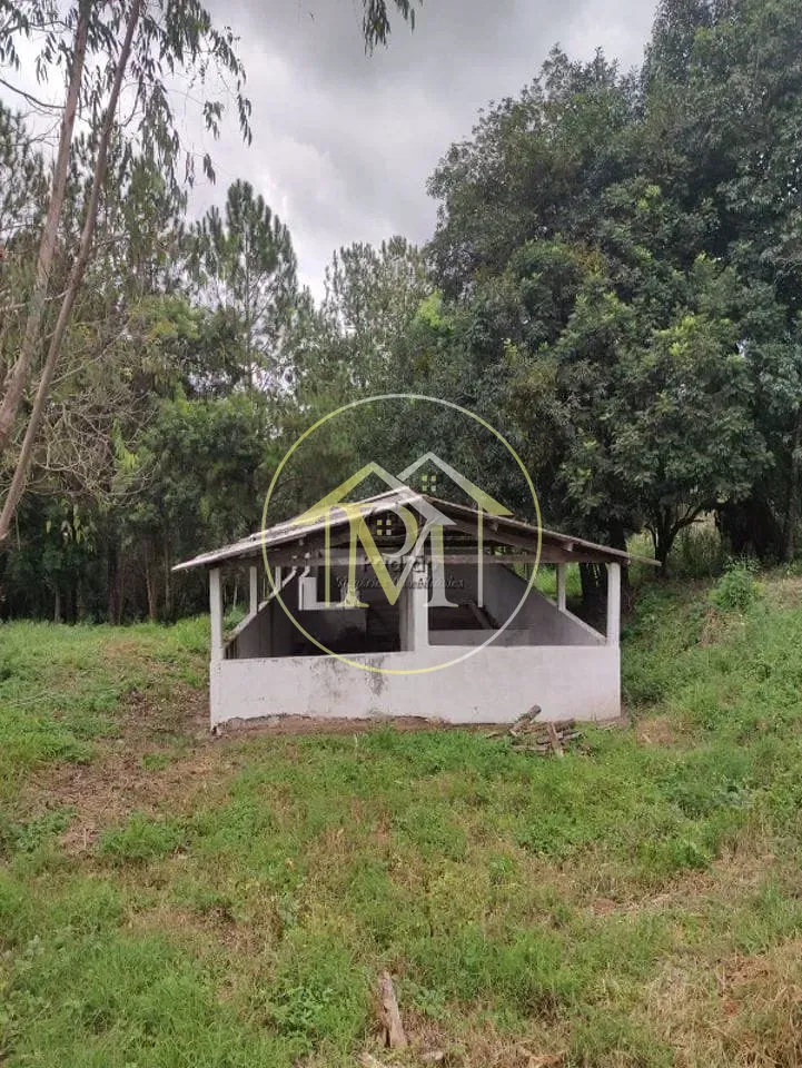 Fazenda, 10 hectares - Foto 43