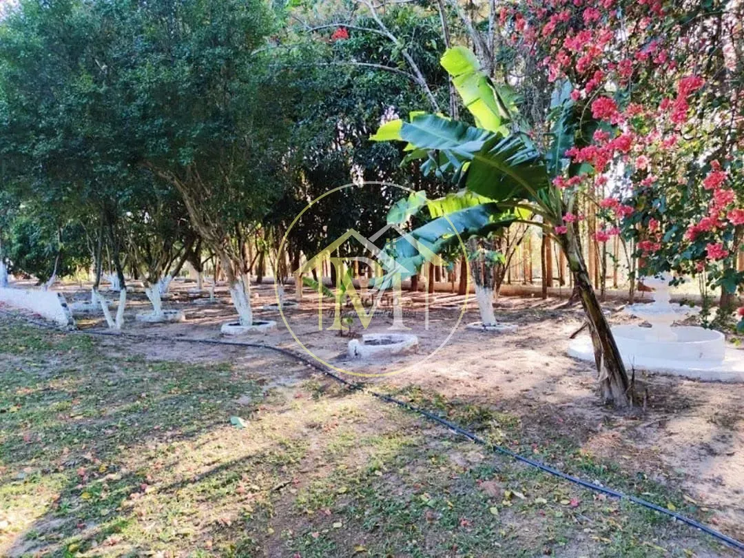 Fazenda, 10 hectares - Foto 18