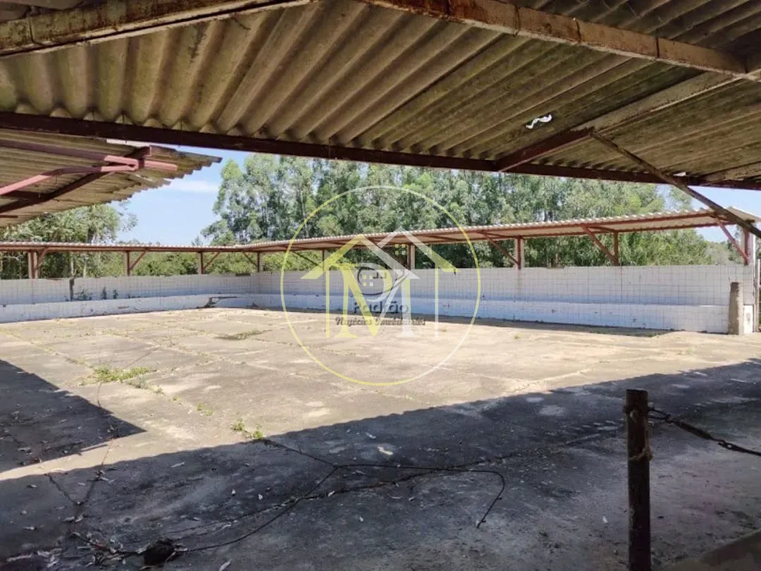 Fazenda, 10 hectares - Foto 46
