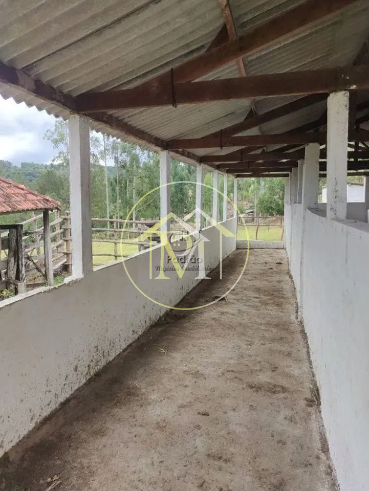 Fazenda, 10 hectares - Foto 27