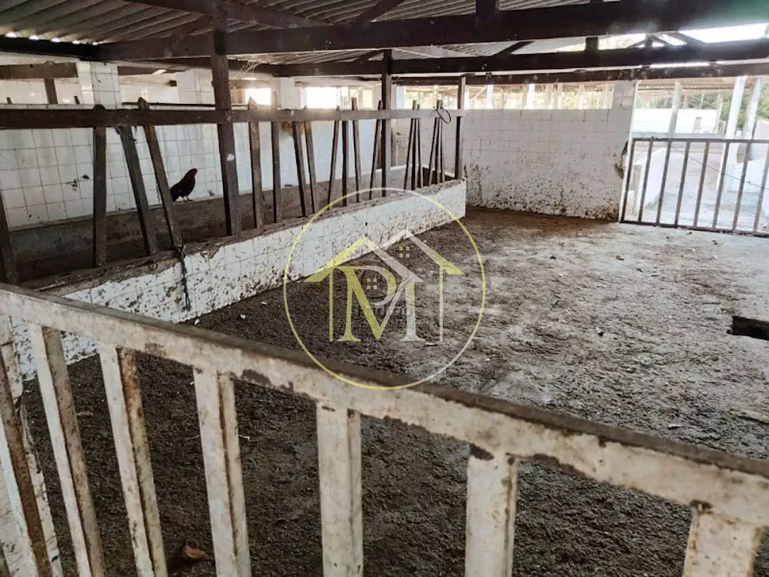 Fazenda, 10 hectares - Foto 35
