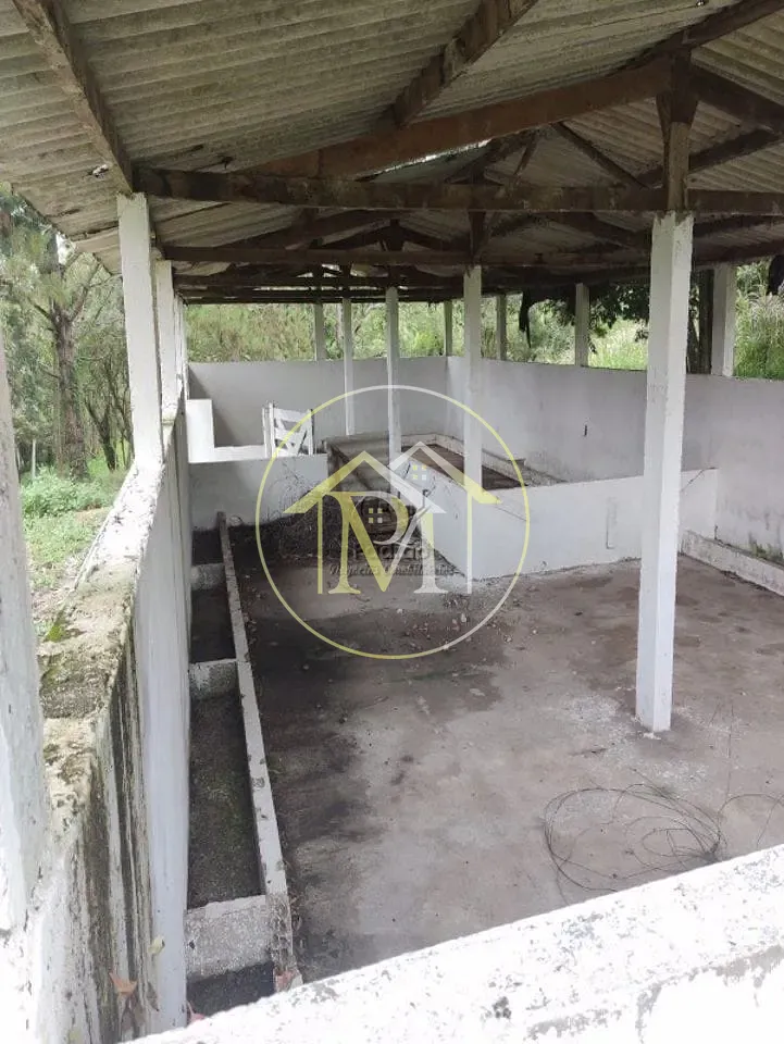 Fazenda, 10 hectares - Foto 47