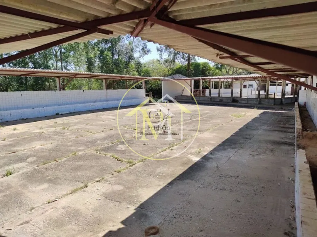 Fazenda, 10 hectares - Foto 41
