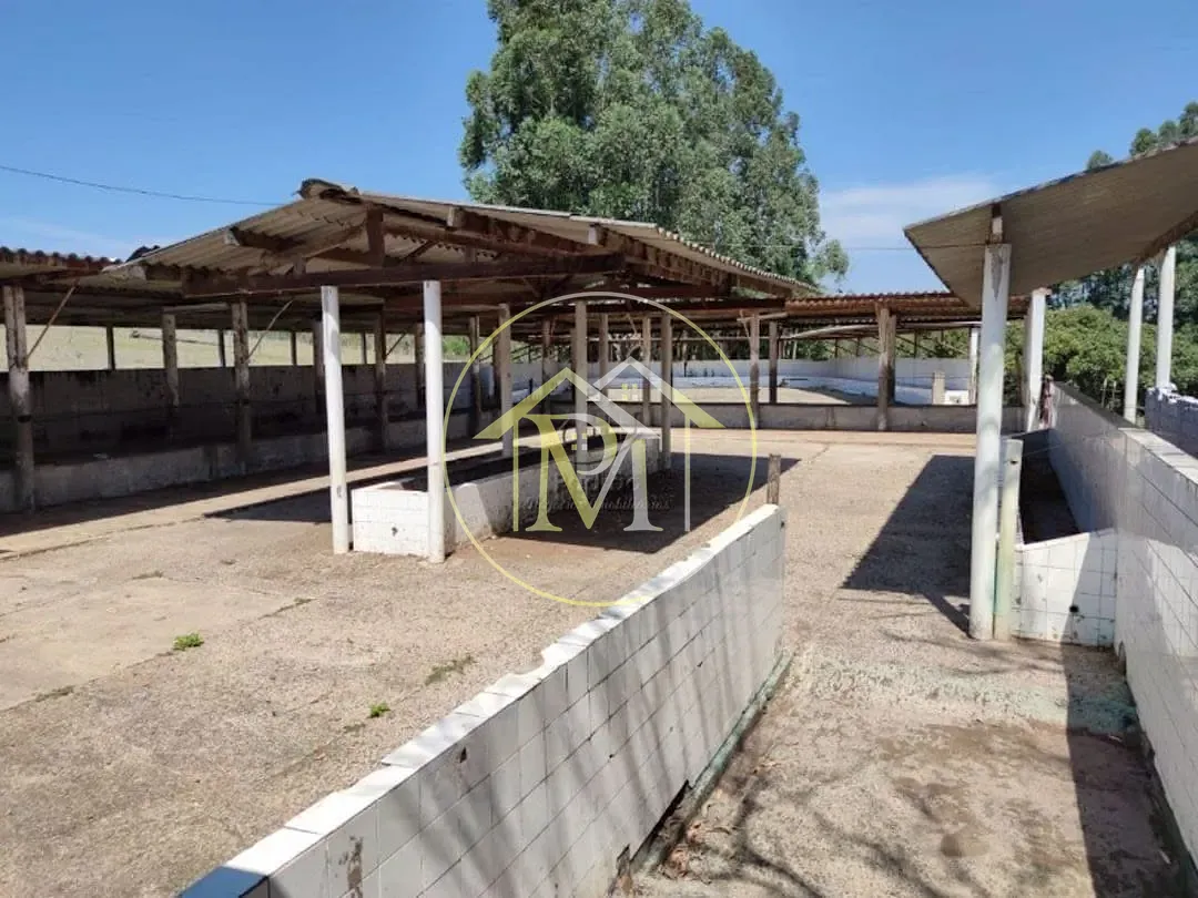 Fazenda, 10 hectares - Foto 40