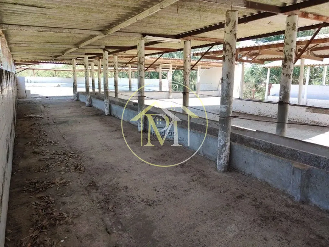 Fazenda, 10 hectares - Foto 45