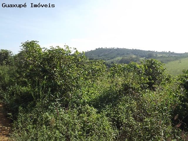 Foto do Sítio - Sitio entre Juruaia e Nova Rezende,(fica aproximadamente a 12 km de juruaia) com 2 Alqueires, possui 3.000 pés de café e 500 pés de eucaliptos plantados. Com espaço para construção de casa e terreirão. | Guaxupé Imóveis Ltda