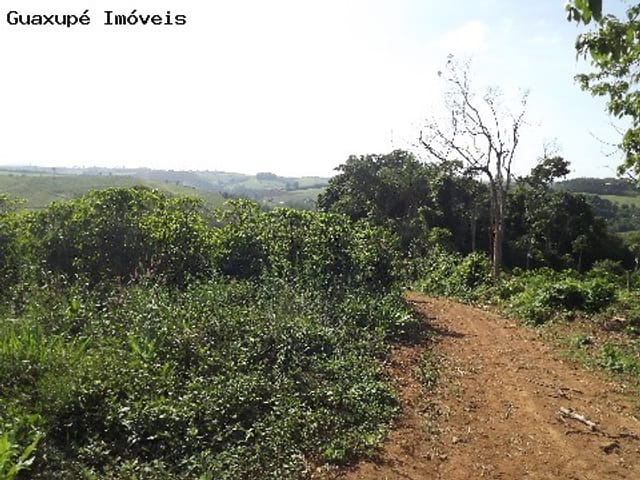 Foto do Sítio - Sitio entre Juruaia e Nova Rezende,(fica aproximadamente a 12 km de juruaia) com 2 Alqueires, possui 3.000 pés de café e 500 pés de eucaliptos plantados. Com espaço para construção de casa e terreirão. | Guaxupé Imóveis Ltda