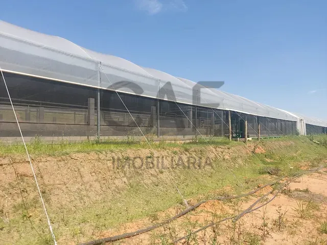 Sítio com 20000m², à venda, no bairro Fundão em Holambra