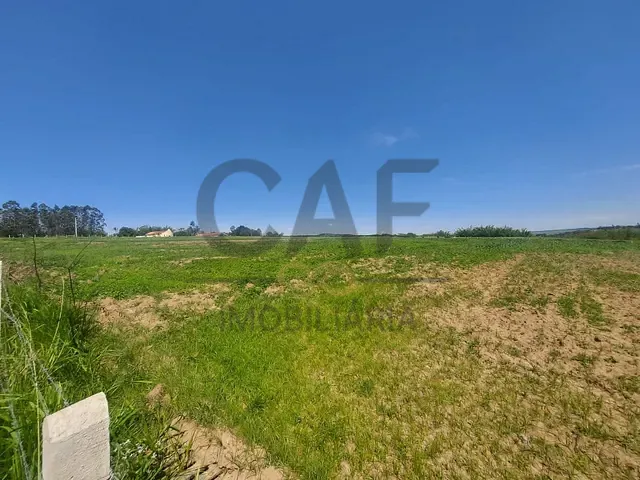 Sítio com 20000m², à venda, no bairro Fundão em Holambra