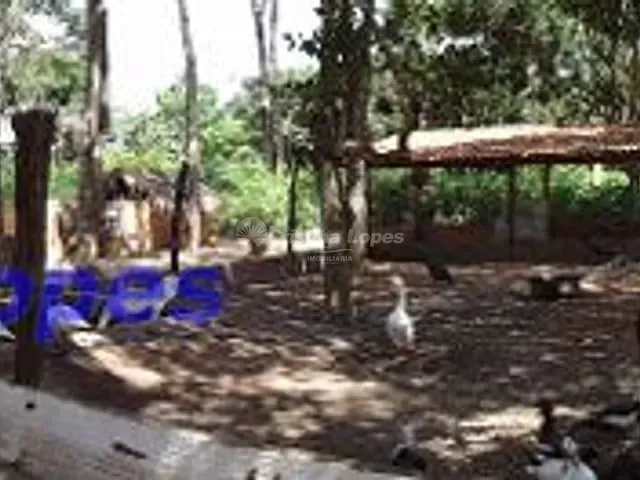 Sítio com 588m² 4 quartos e 5 banheiros, à venda, no bairro Zona Rural em Teresina