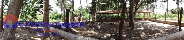 Fazenda, 588 m² - Foto 1