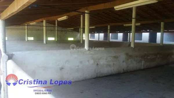 Sítio, 5 quartos, 10 m² - Foto 11