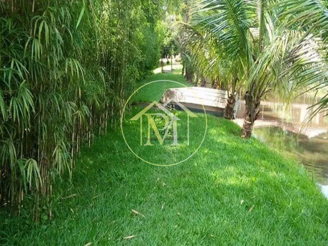 Sítio, 4 quartos, 15 hectares - Foto 7
