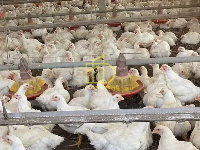 Sítio com 576000m², à venda, no bairro Vila São Gonçalo em Itapetininga