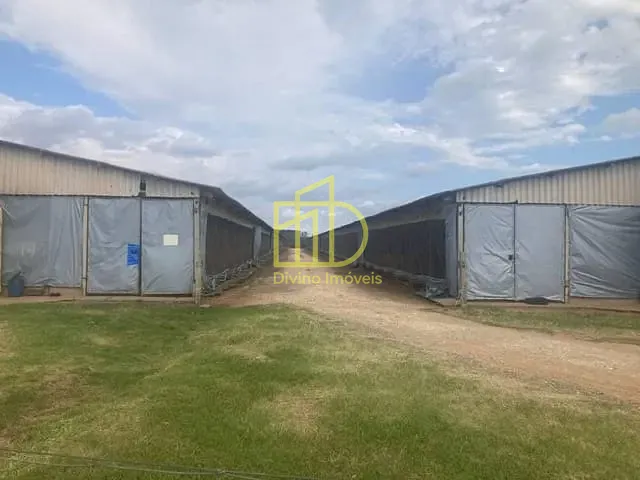 Sítio com 576000m², à venda, no bairro Vila São Gonçalo em Itapetininga