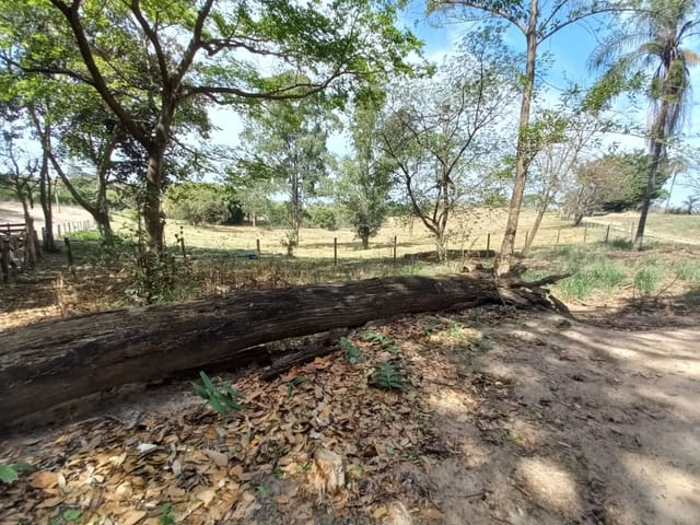 Foto do Sítio - Sítio à venda, 100000 m² por R$ 7.500.000,00 - Fundão - Holambra/SP | MARIANA FURIO DE WIT CORRETORA DE SEGUROS E IMOVEIS LTDA