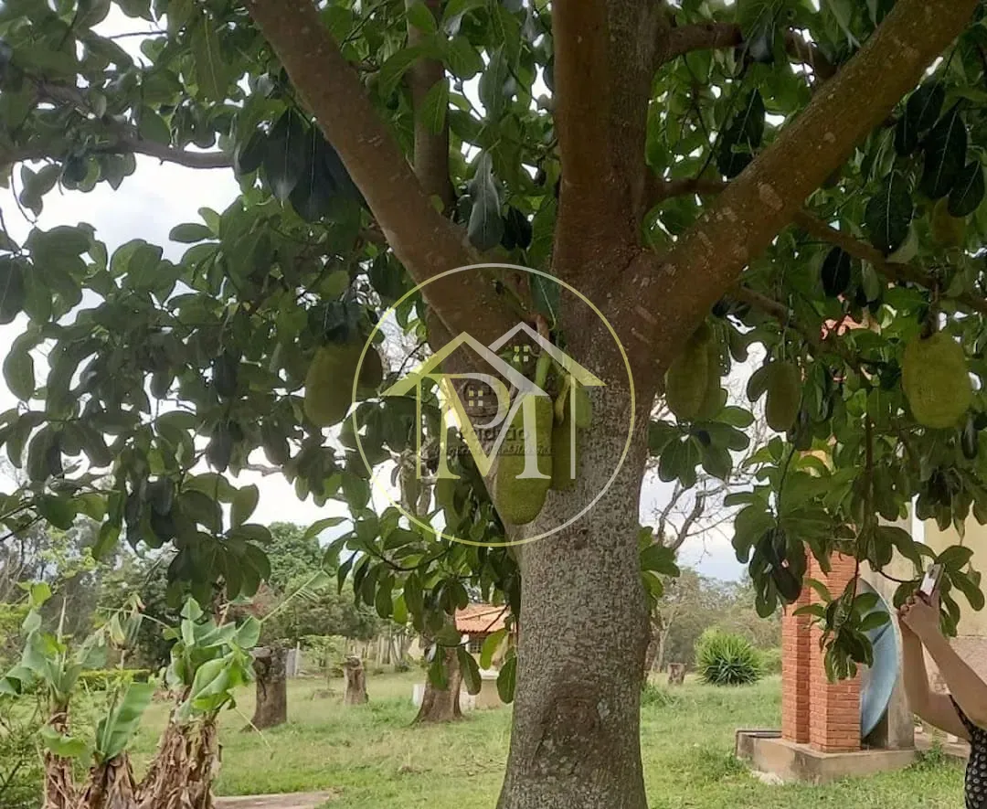 Sítio, 2 quartos, 15 hectares - Foto 12
