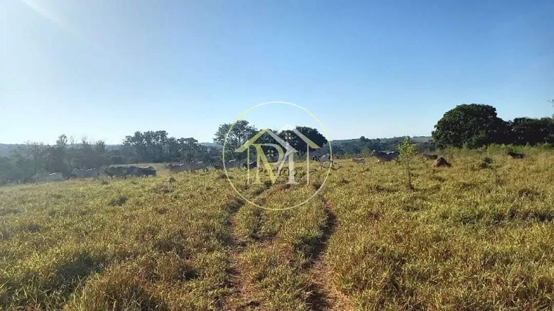 Sítio, 2 quartos, 15 hectares - Foto 11