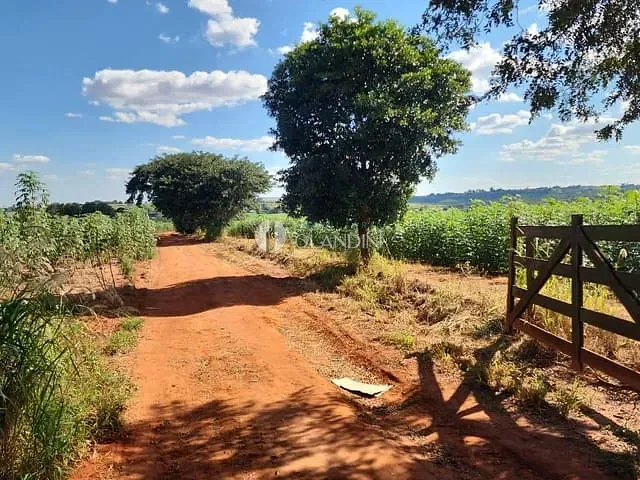 Sítio com 8m², à venda, no bairro Poquinha em Artur Nogueira