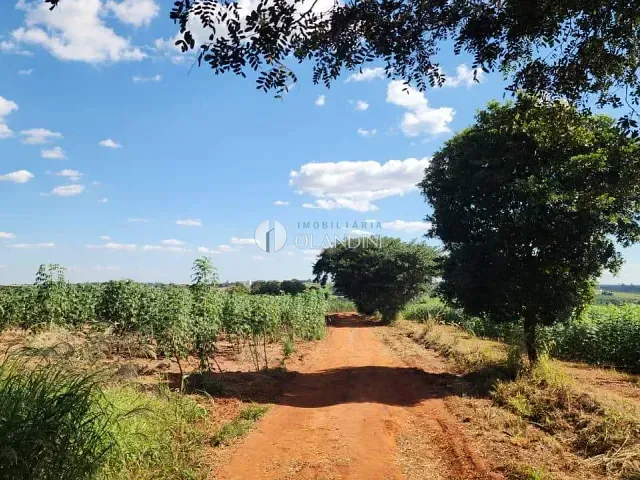 Sítio com 8m², à venda, no bairro Poquinha em Artur Nogueira