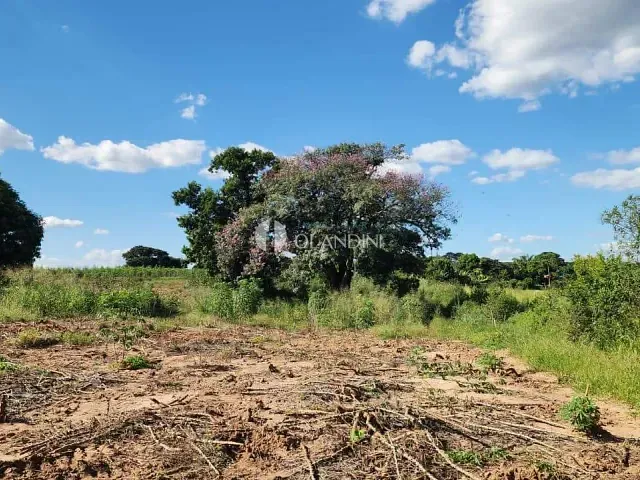 Sítio com 8m², à venda, no bairro Poquinha em Artur Nogueira
