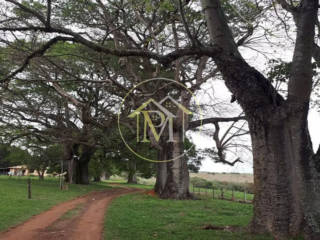 Sítio, 4 quartos, 31 hectares - Foto 11