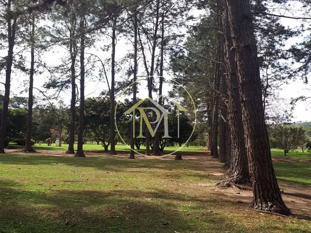 Sítio, 4 quartos, 31 hectares - Foto 10