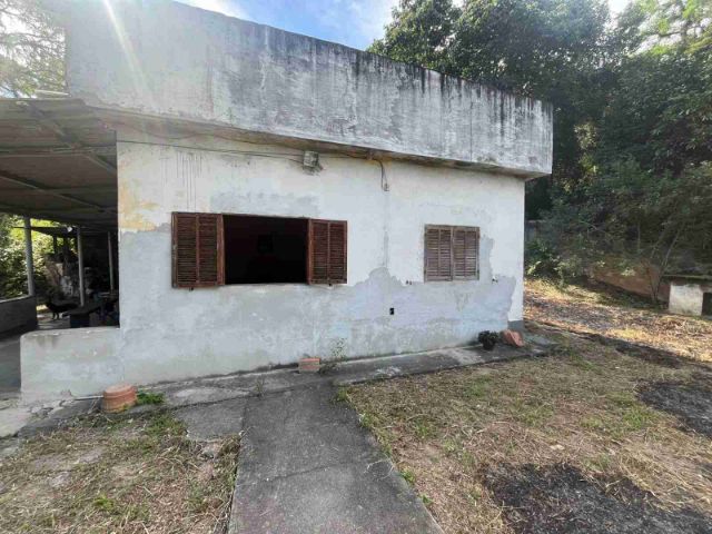 Foto do Sítio - Sítio à venda, Ipiranga (Guia de Pacobaíba), Magé, RJ | Sansil Imóveis
