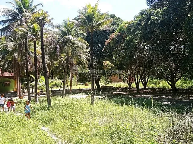 Sítio com 35000m² 3 quartos e 1 banheiro, à venda, no bairro Centro em Teresina
