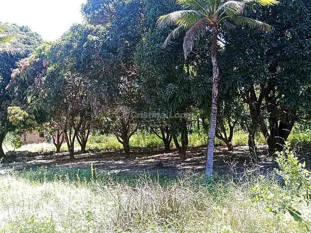 Sítio com 35000m² 3 quartos e 1 banheiro, à venda, no bairro Centro em Teresina