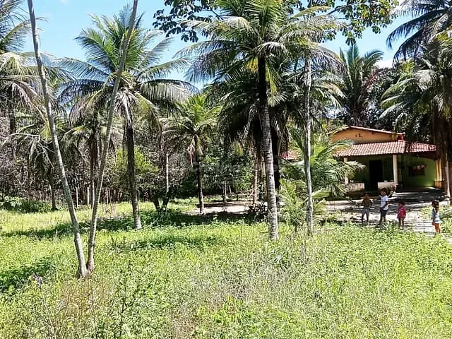 Sítio com 35000m² 3 quartos e 1 banheiro, à venda, no bairro Centro em Teresina