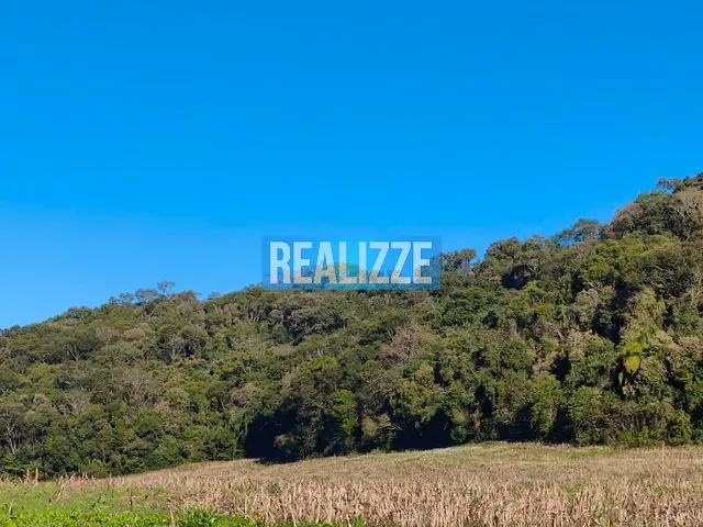 Sítio com 80820m², à venda, no bairro Gruta Do Rio Marau em Marau