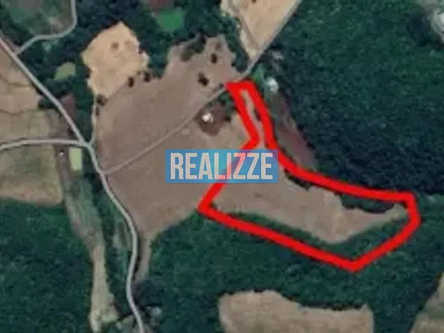 Sítio com 80820m², à venda, no bairro Gruta Do Rio Marau em Marau