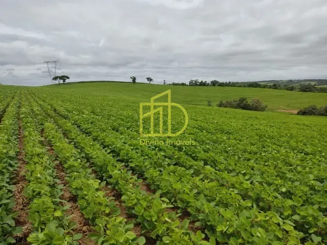 Sítio com 484000m², à venda, no bairro Zona Rural em Pilar do Sul