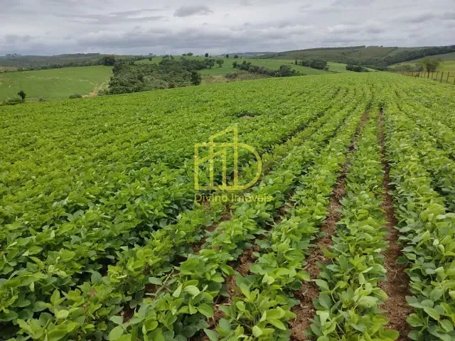 Sítio com 484000m², à venda, no bairro Zona Rural em Pilar do Sul