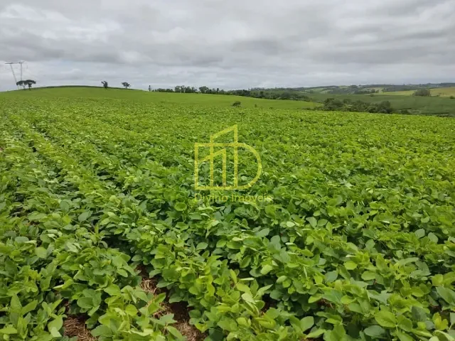 Sítio com 484000m², à venda, no bairro Zona Rural em Pilar do Sul