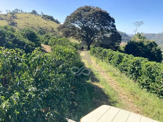 Sítio com 183920m², à venda, no bairro Veridiana em Espírito Santo do Pinhal