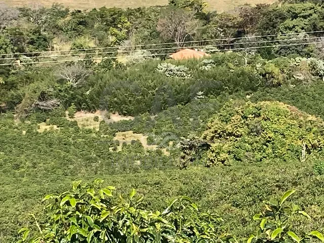 Sítio com 183920m², à venda, no bairro Veridiana em Espírito Santo do Pinhal