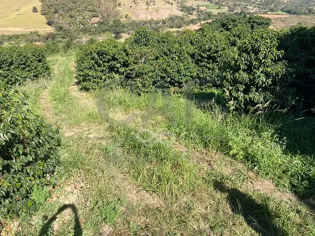 Sítio com 183920m², à venda, no bairro Veridiana em Espírito Santo do Pinhal