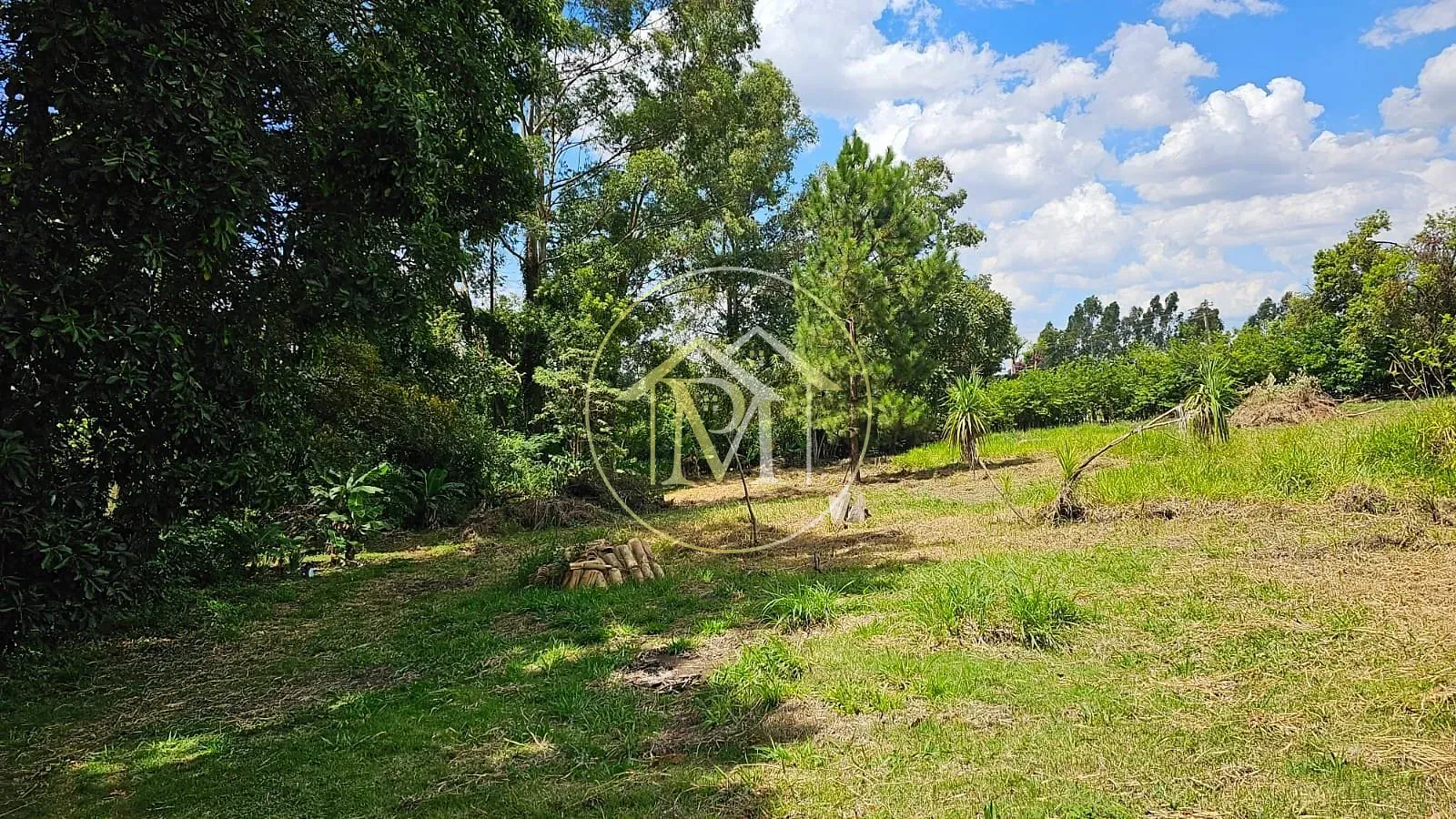 Sítio, 3 quartos, 2 hectares - Foto 10
