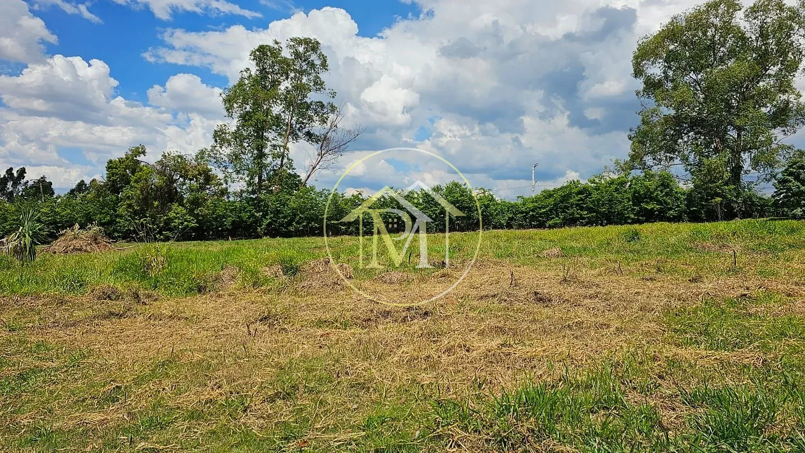 Sítio, 3 quartos, 2 hectares - Foto 8