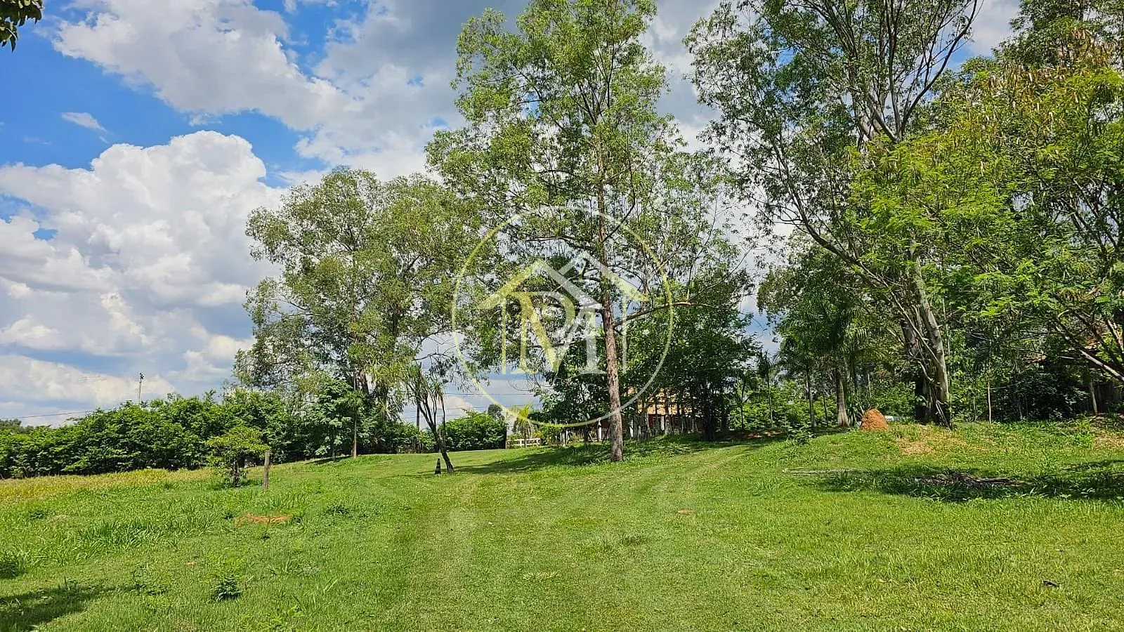 Sítio, 3 quartos, 2 hectares - Foto 4