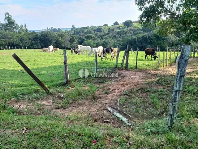 Sítio com 85m² 2 quartos e 2 banheiros, à venda, no bairro Paiol das Telhas em Artur Nogueira