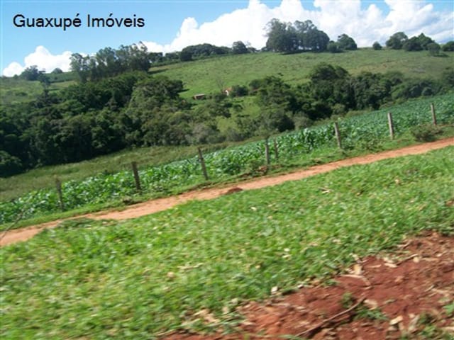 Foto do Sítio - Sitio de 8,5 alqueires, com açude, cerca de 13.000 pés de café. | Guaxupé Imóveis Ltda