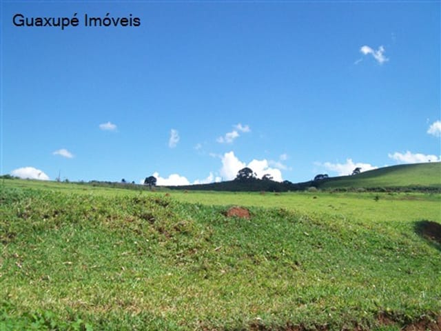 Foto do Sítio - Sitio de 8,5 alqueires, com açude, cerca de 13.000 pés de café. | Guaxupé Imóveis Ltda